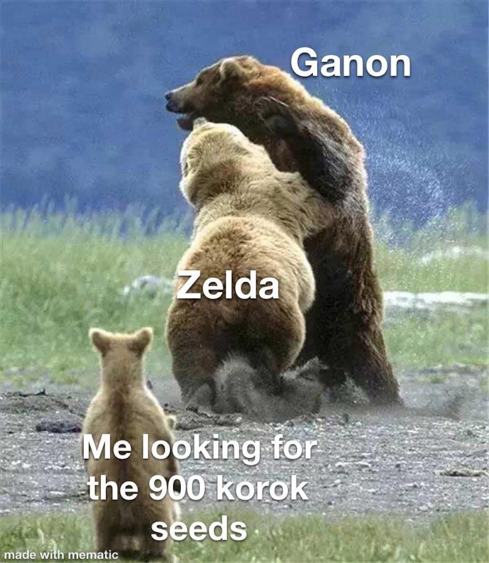 Korok Seed meme BoTW