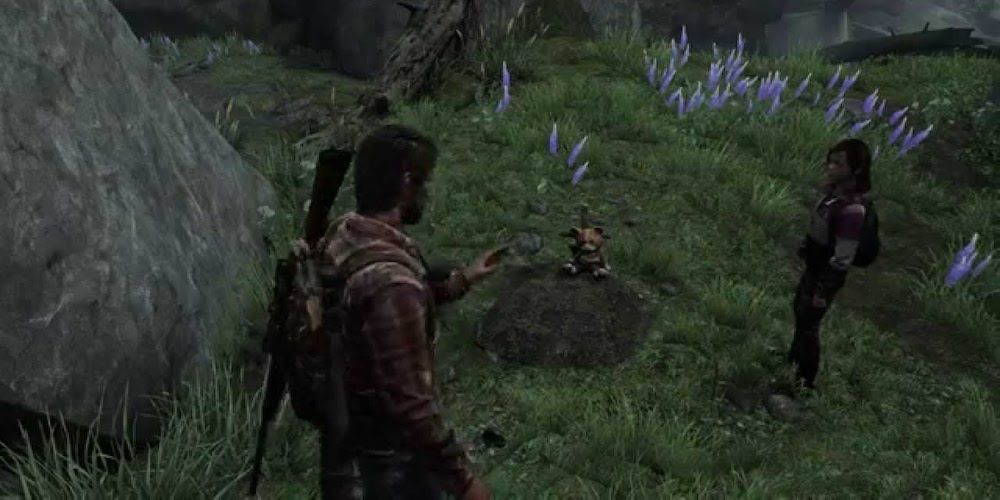 Last of us grave with a bear