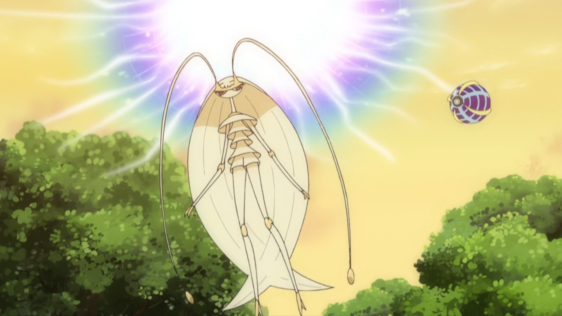 pheromosa in the pokemon anime