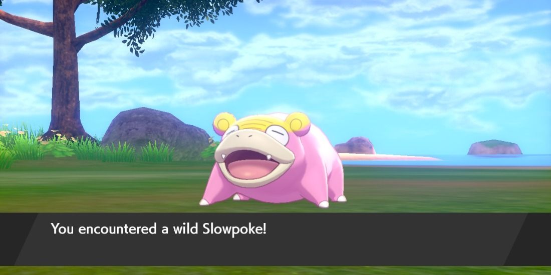 A low level Galarian Slowpoke from the Isle of Armor in Pokemon Sword & Shield