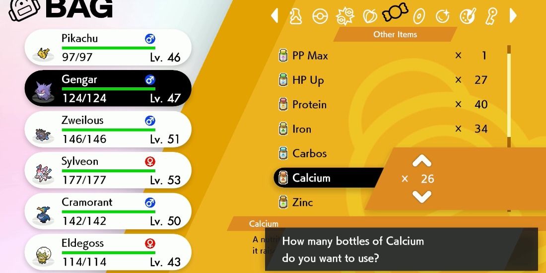 Pokemon Sword Shield Item List Medicine Bottles Menu