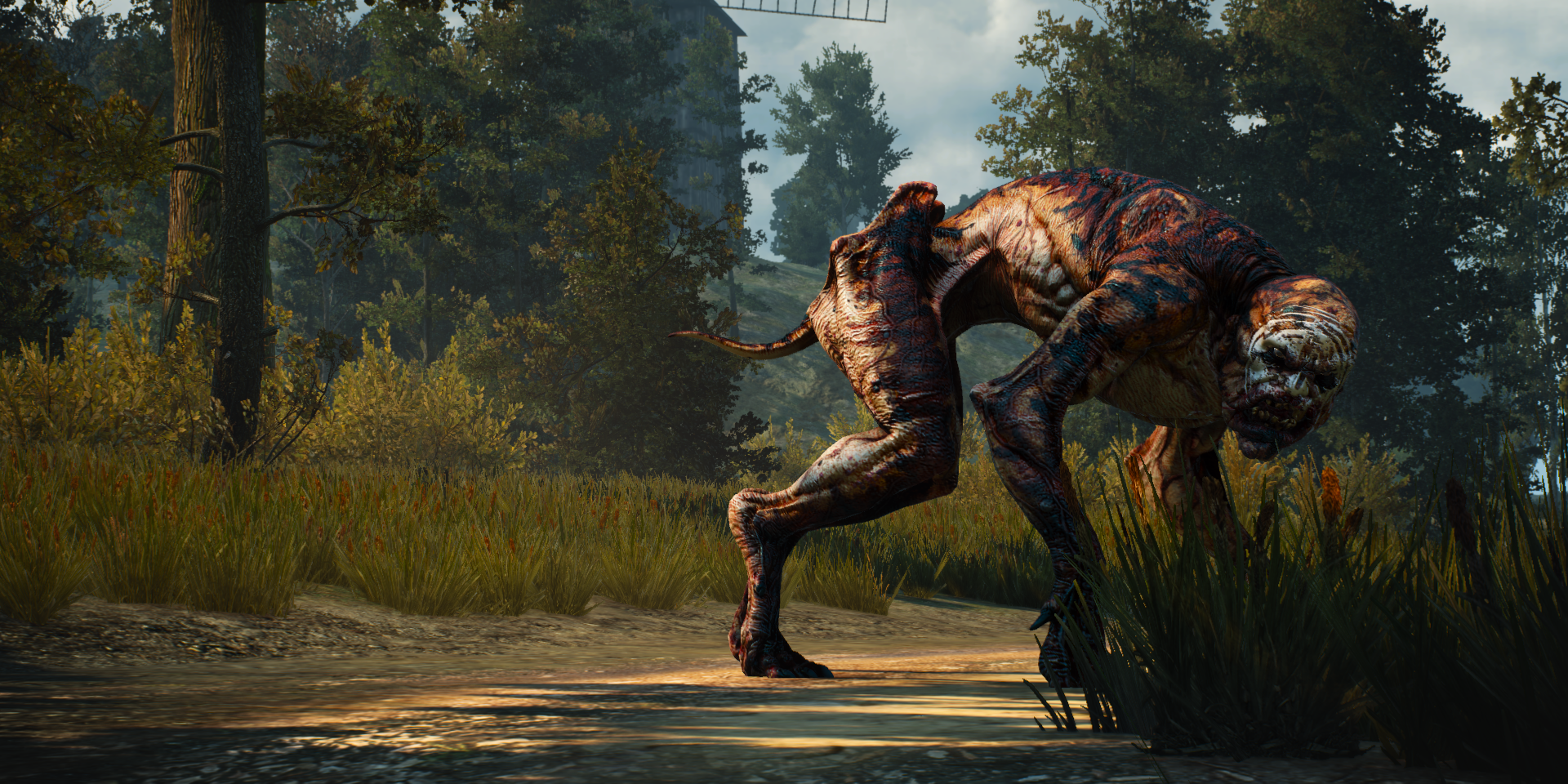 Witcher 3 Ghoul