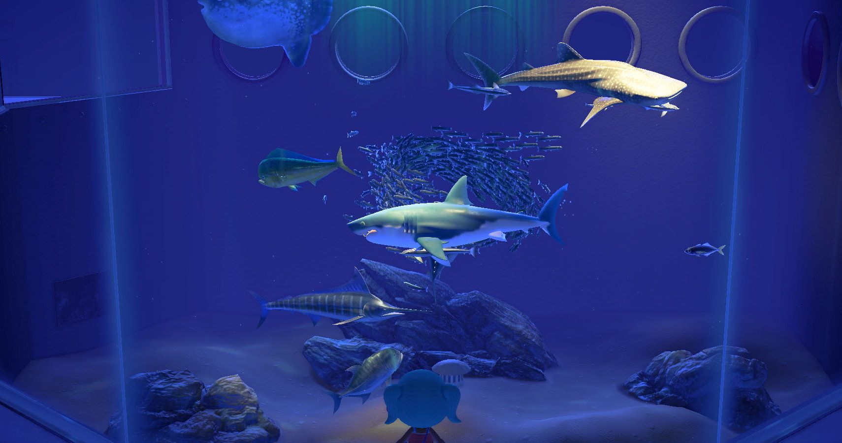 Sharks