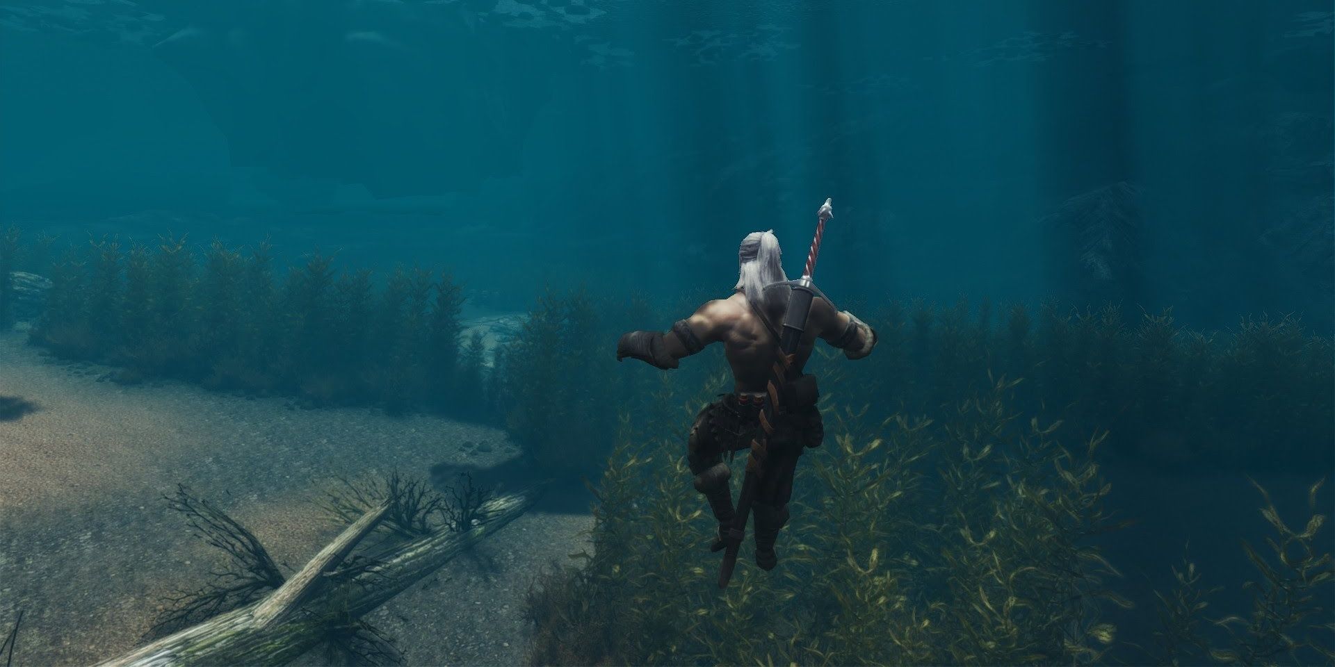 Witcher 3 Underwater