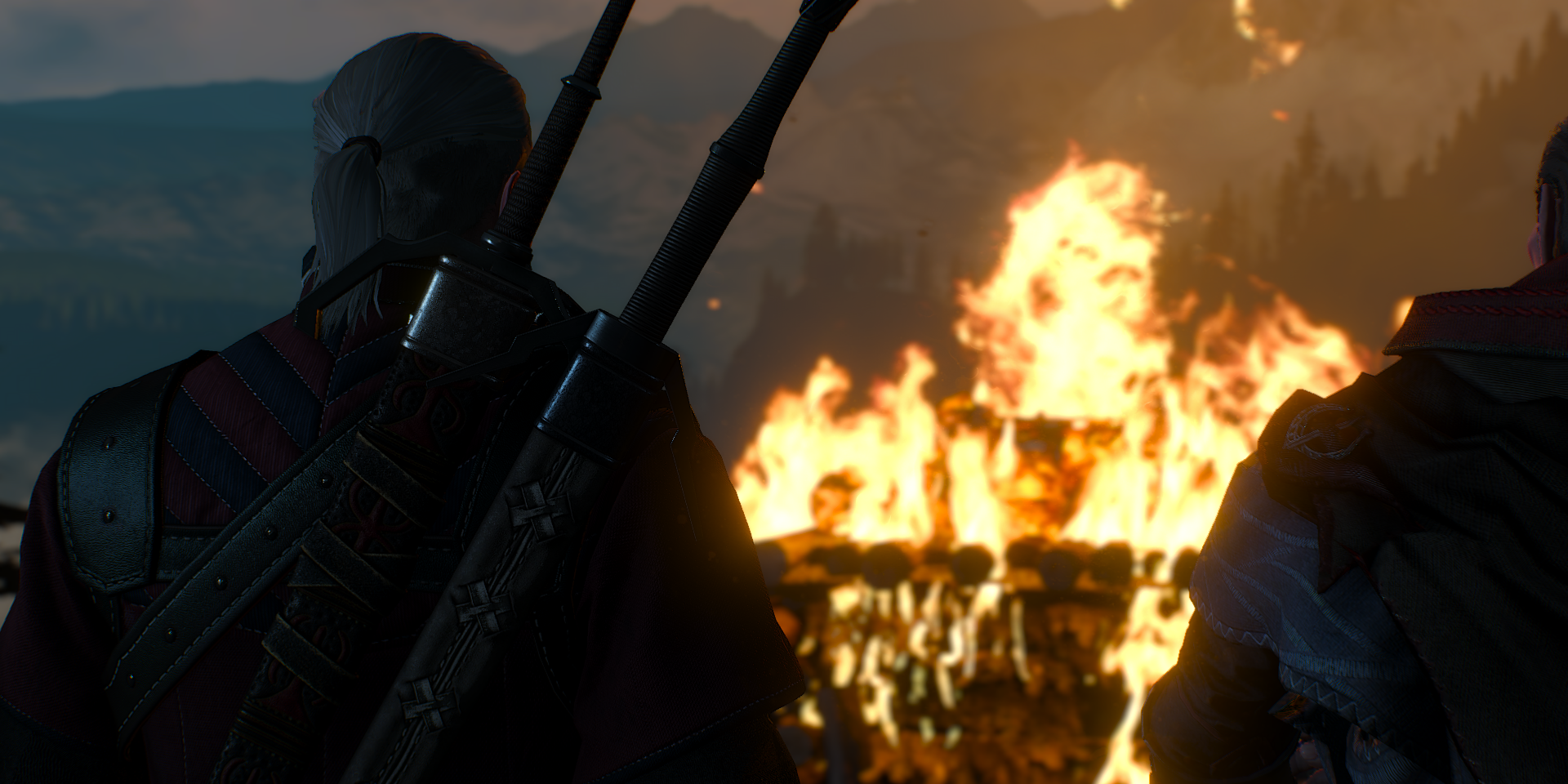 Vesemir Funeral Witcher