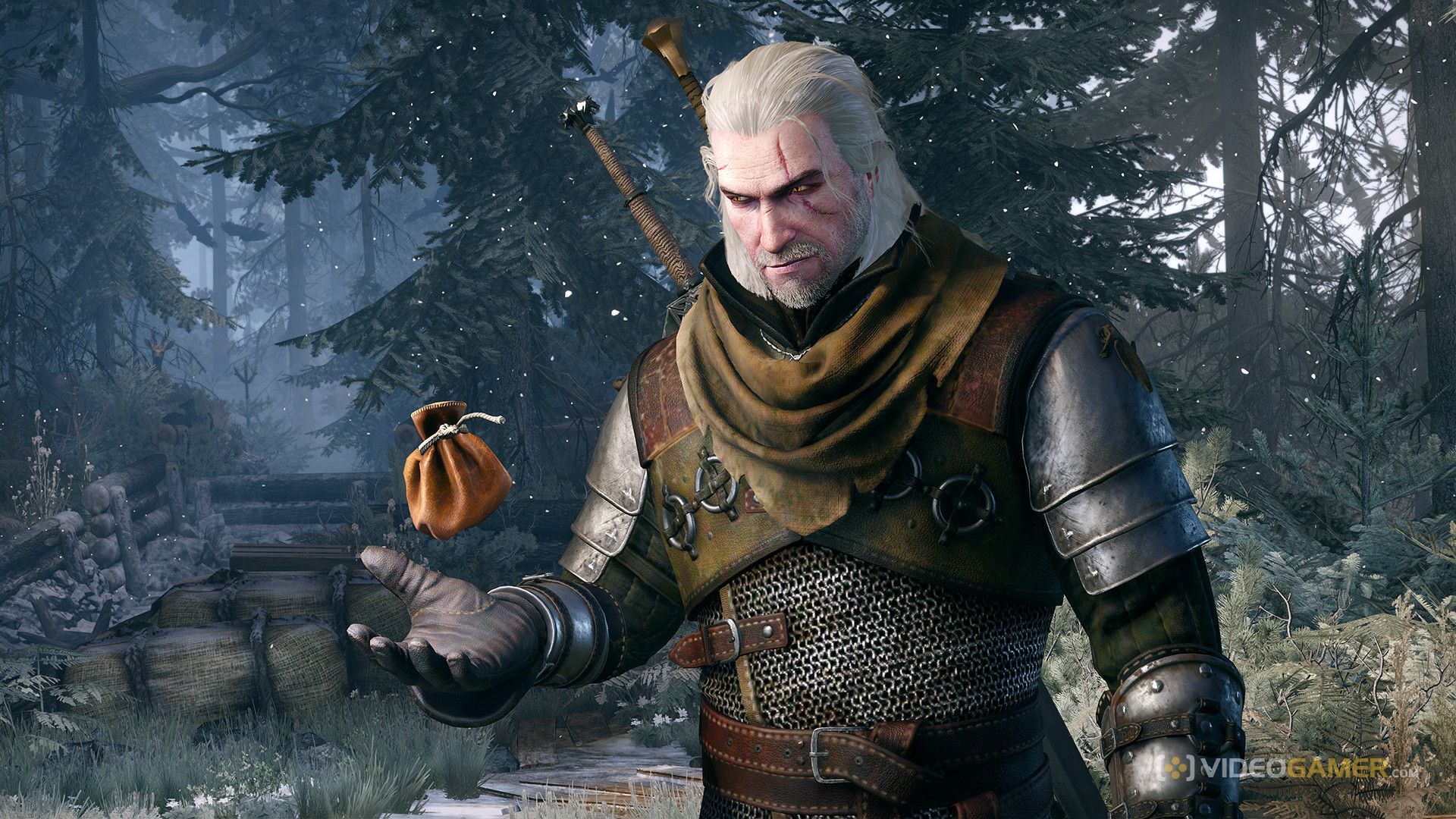 e5c2cd0c-62c4-42f0-a3ff-04f2a783d511_the_witcher_3_wild_hunt_96