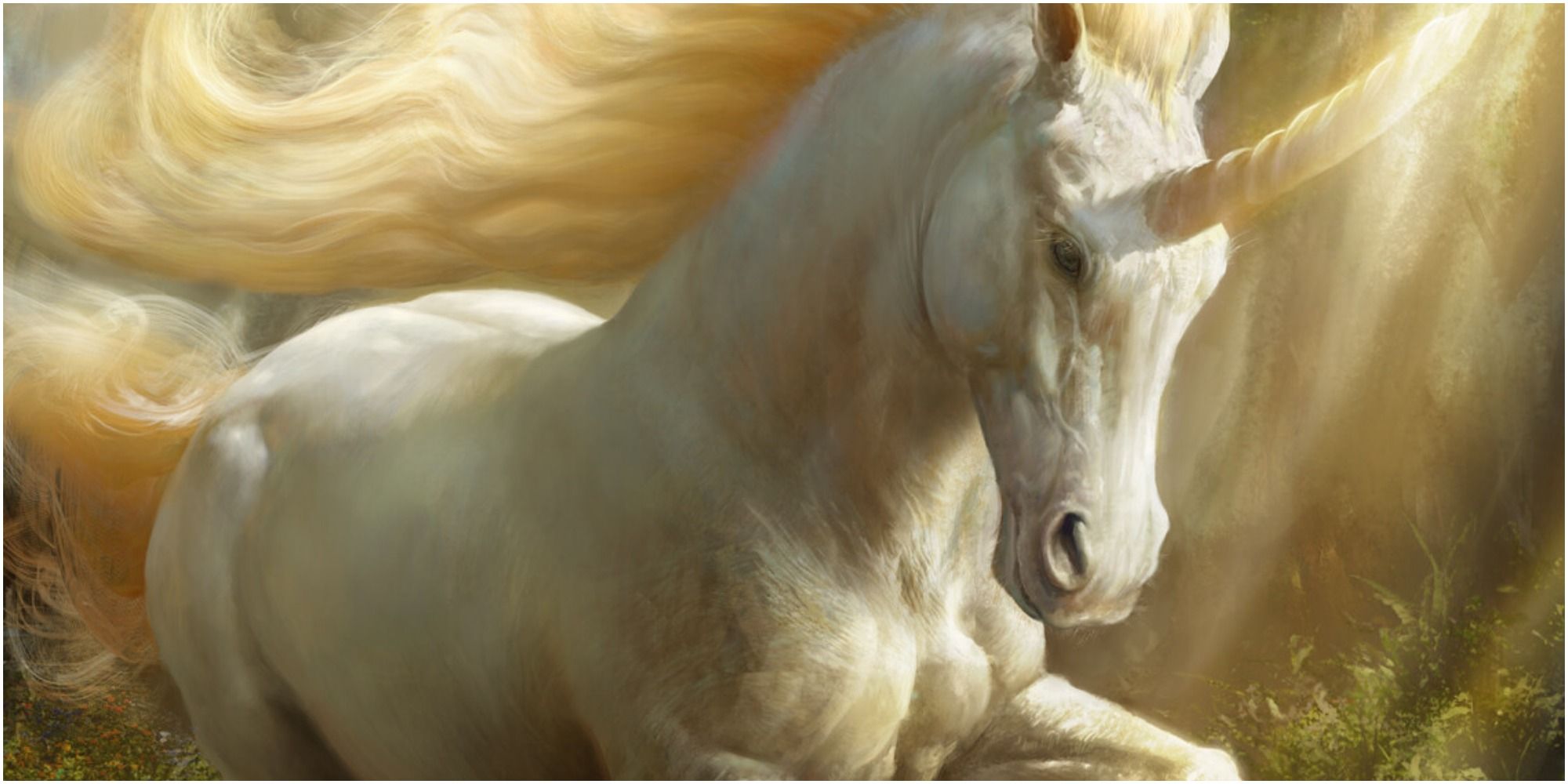 unicorn artwork