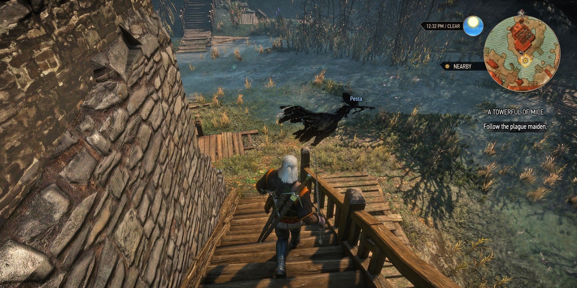 Plague Maiden Pesta Witcher 3