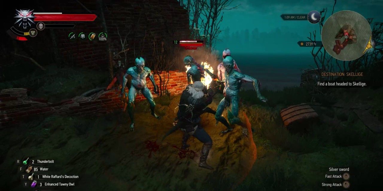 Witcher 3 Drowner