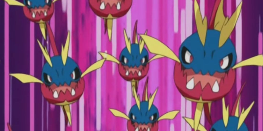 Carvanha in the pokemon anime