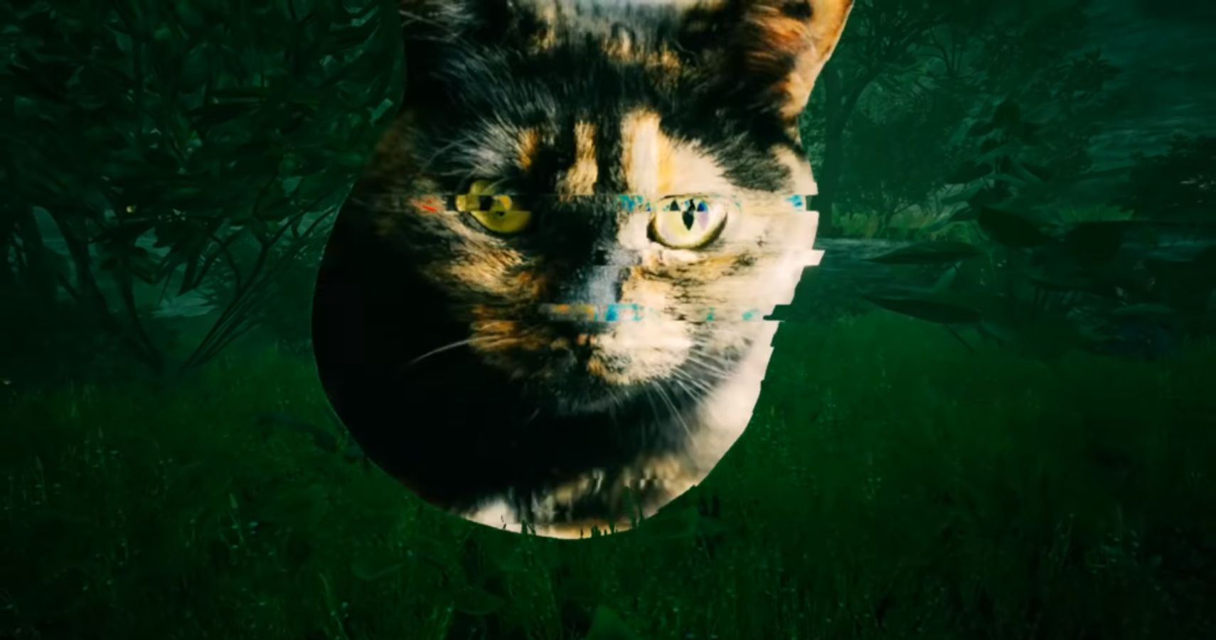 satisfactory cats