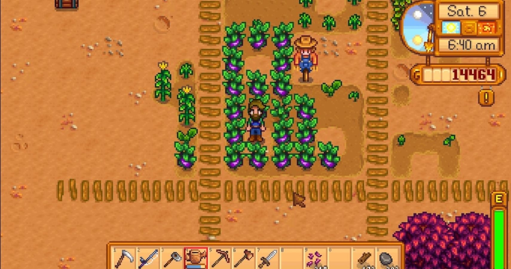 Screenshot from the game Stardew Valley