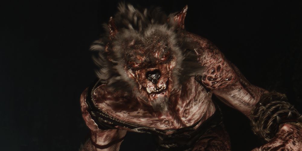 werewolf witcher