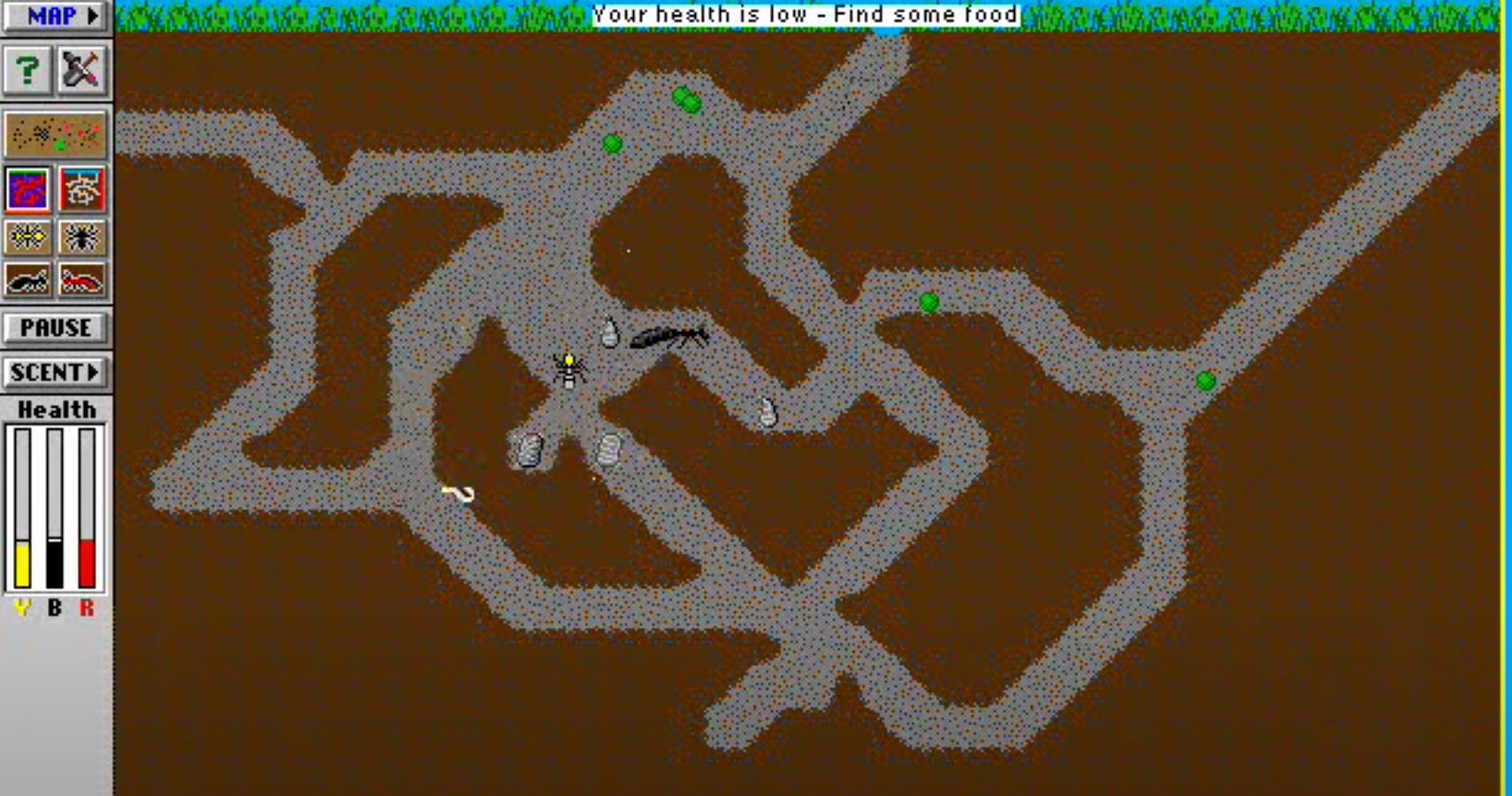 A budding colony in SimAnt.