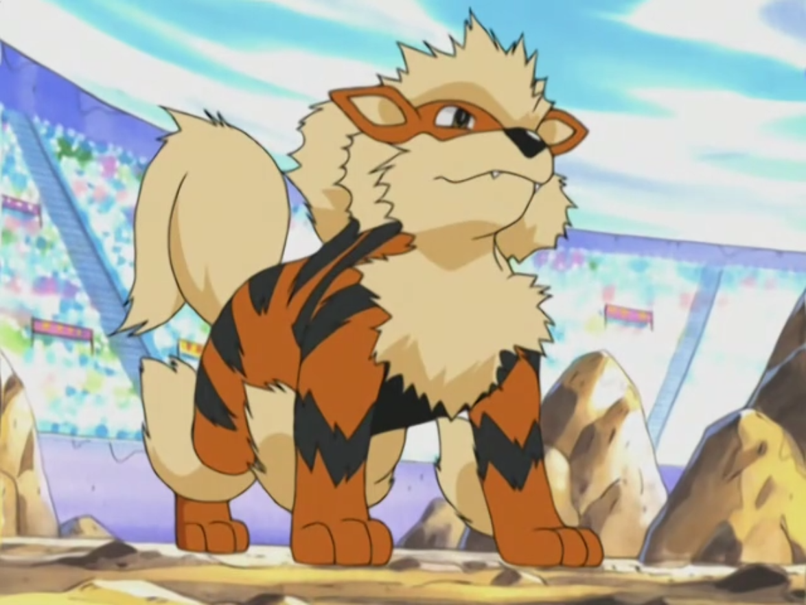 Pokemon Arcanine