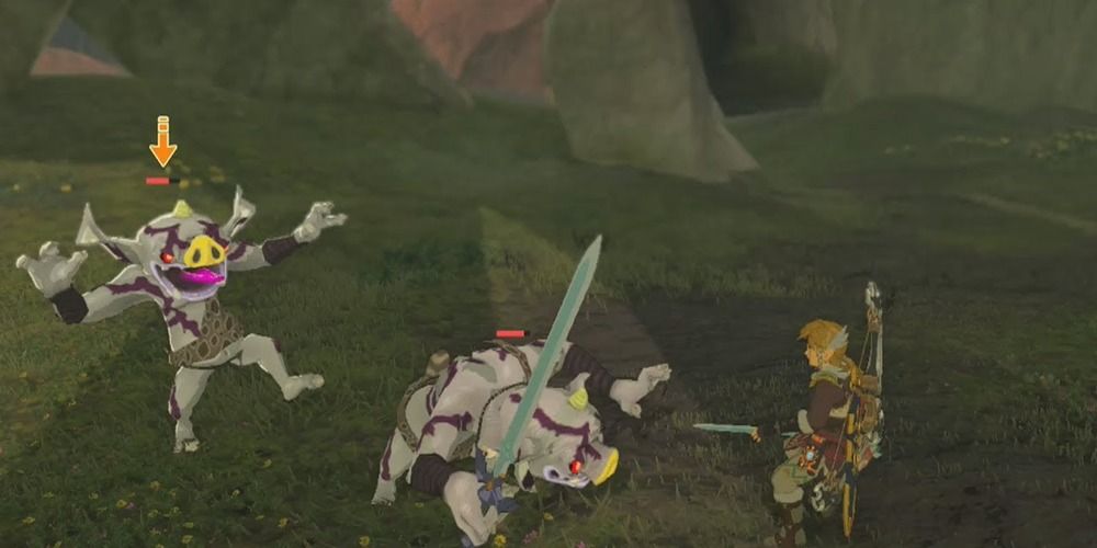White Bokoblins in BotW