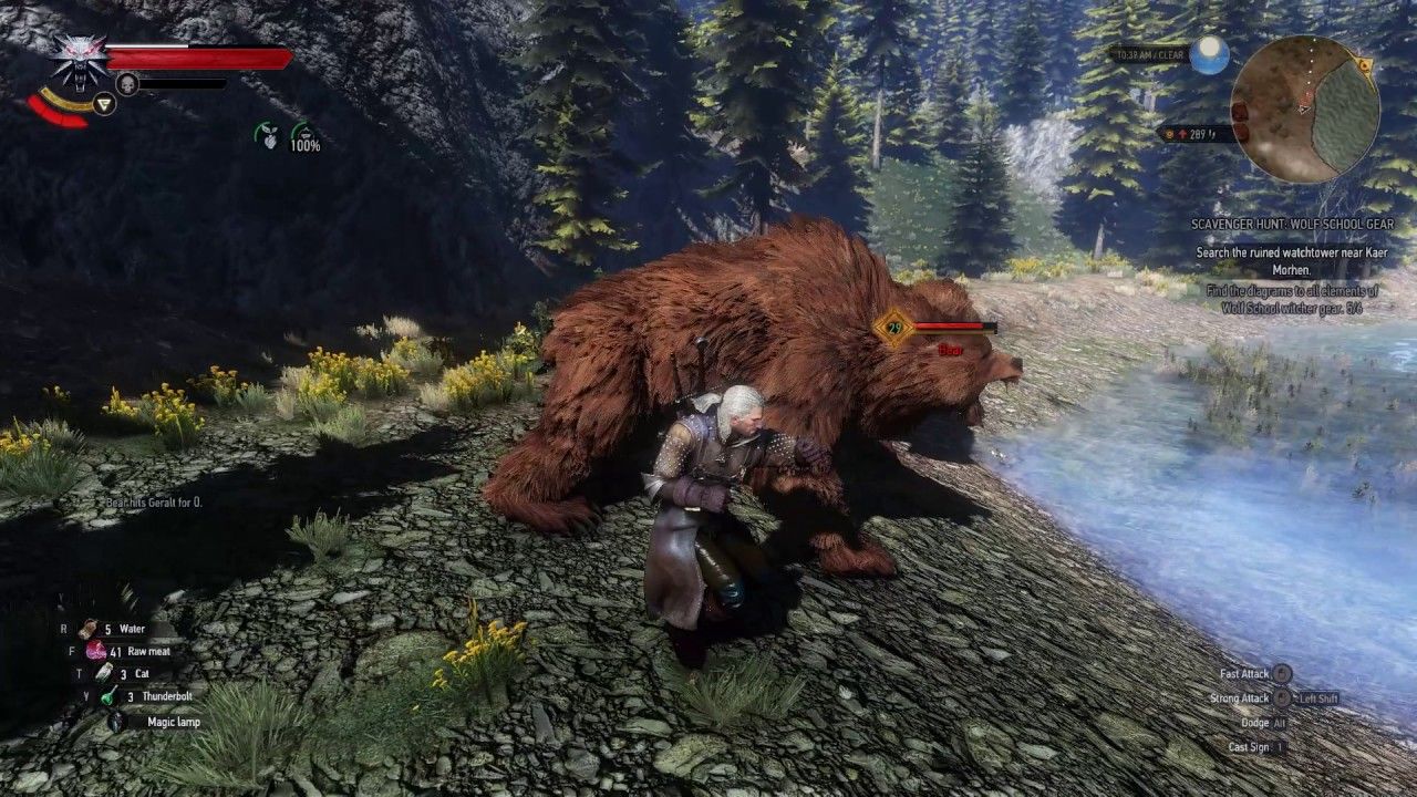 Bear TW3