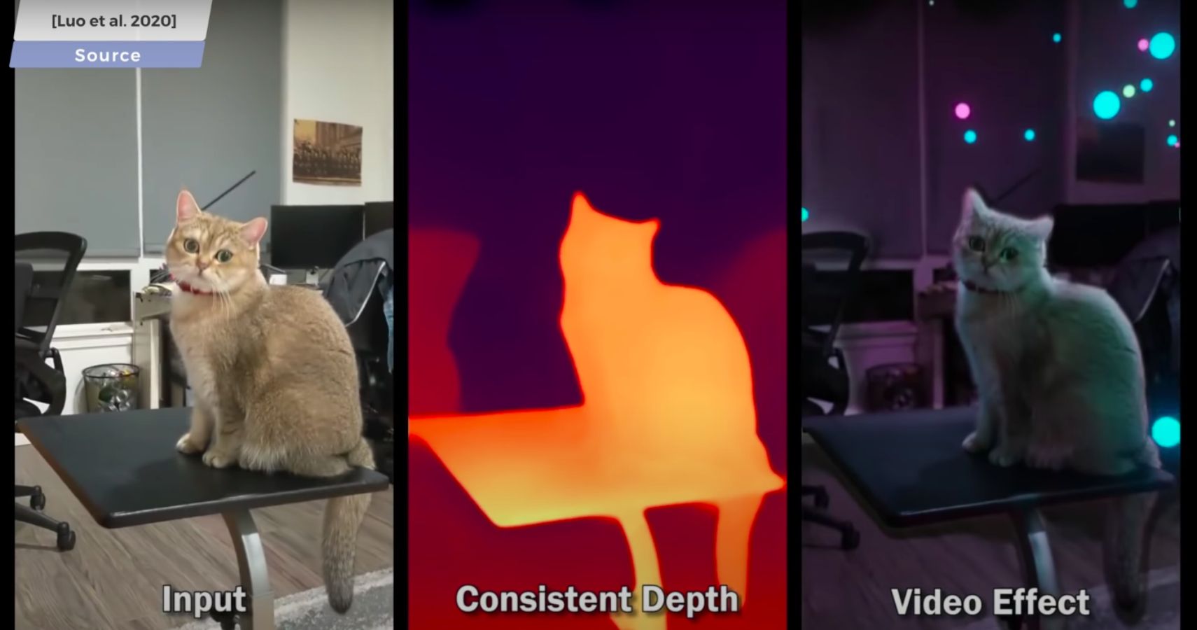 CAT AR