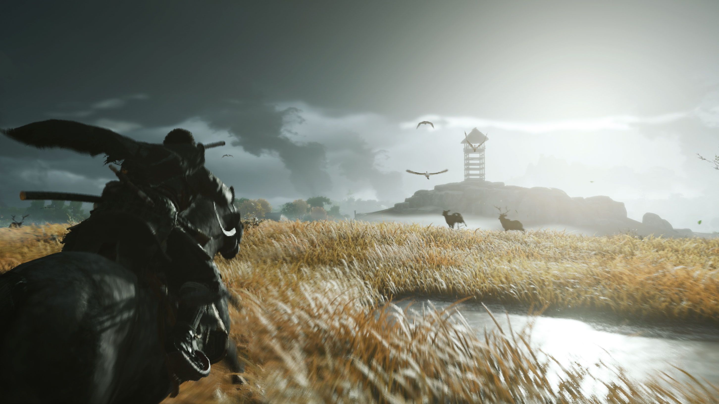 Ghost of Tsushima Fire Jin and Female Samurai