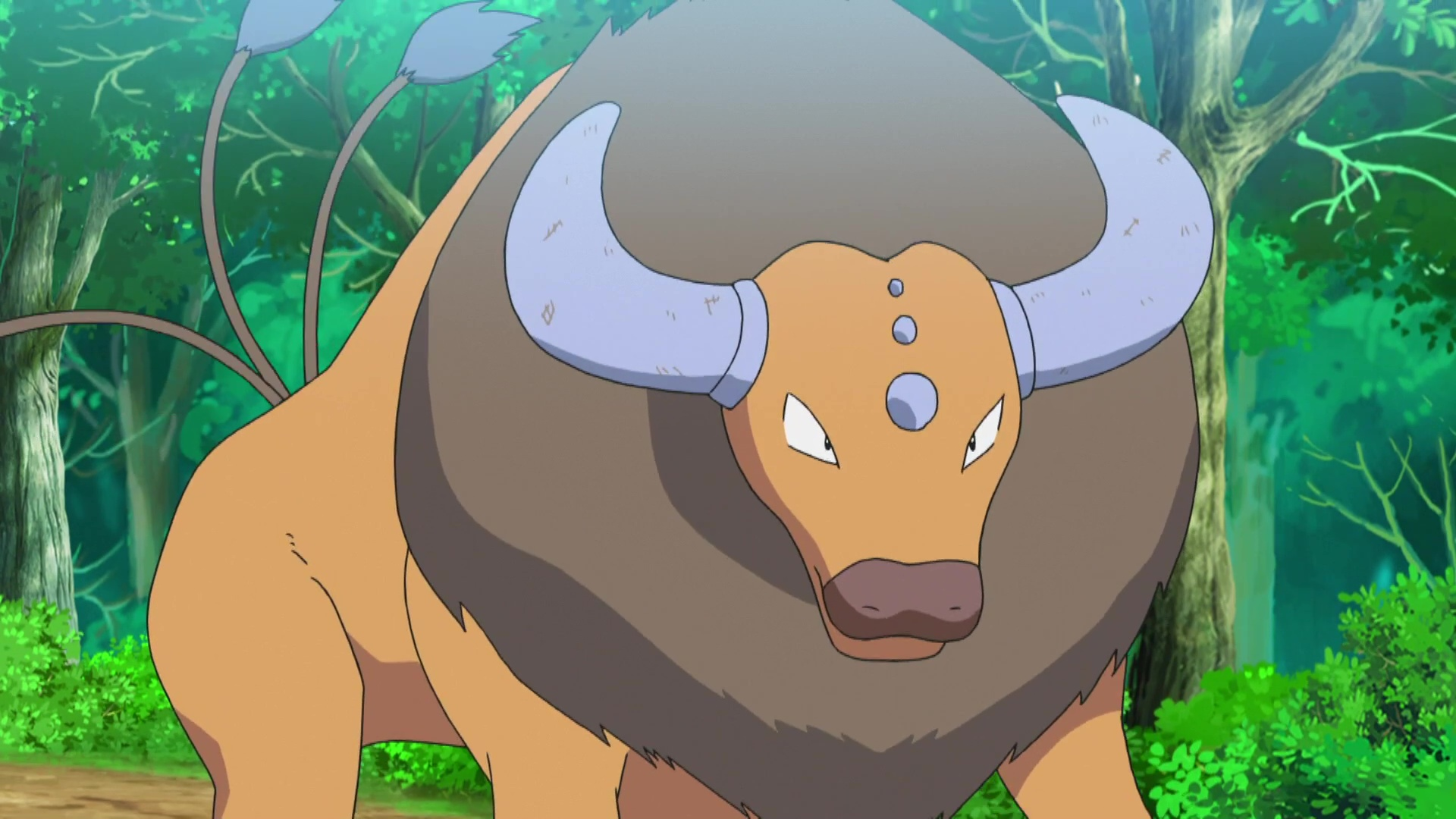 Pokemon Tauros