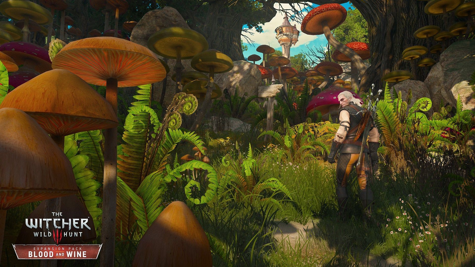 The witcher 3 mushroms