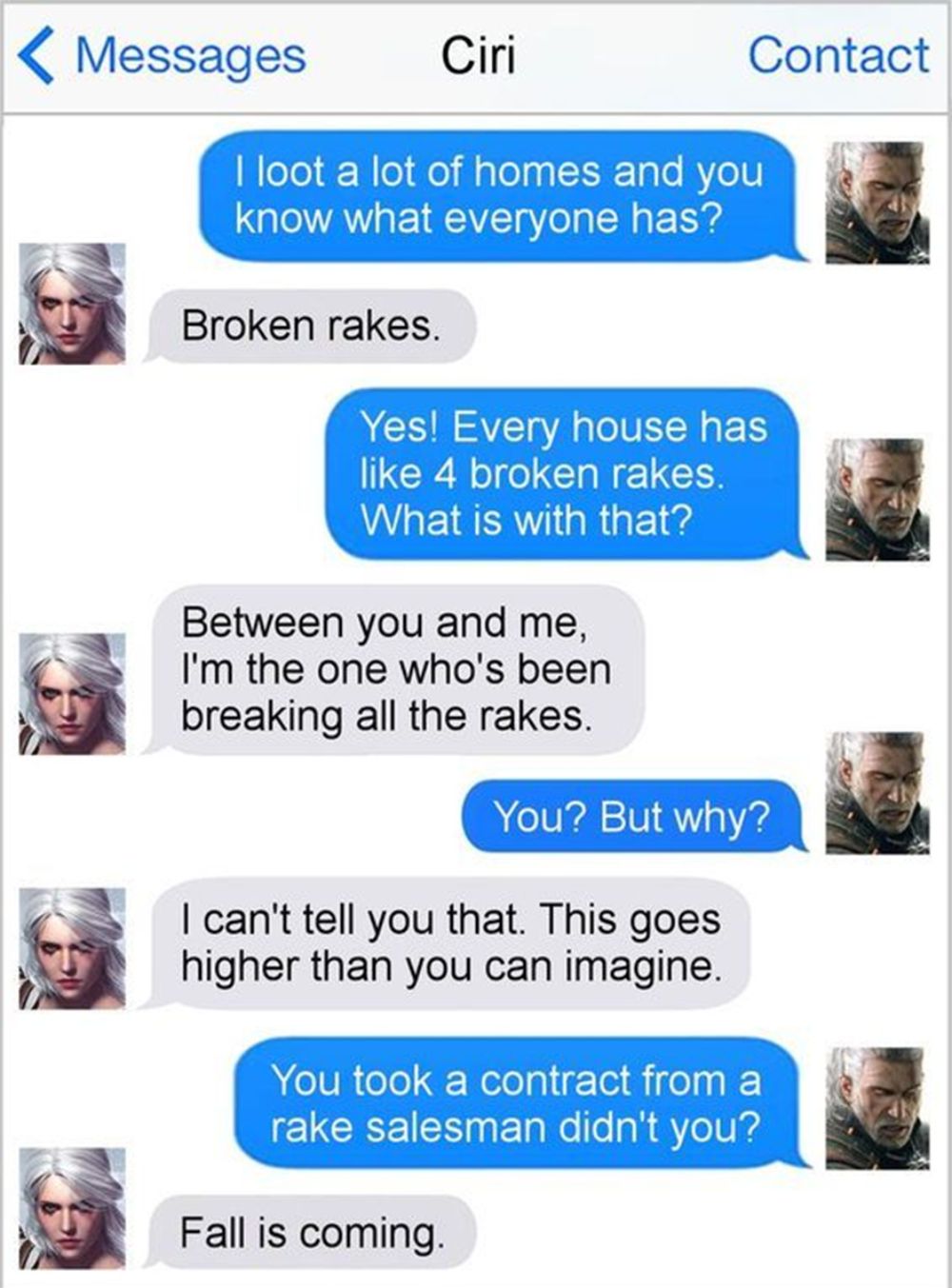 Witcher 3 Broken Rakes Meme