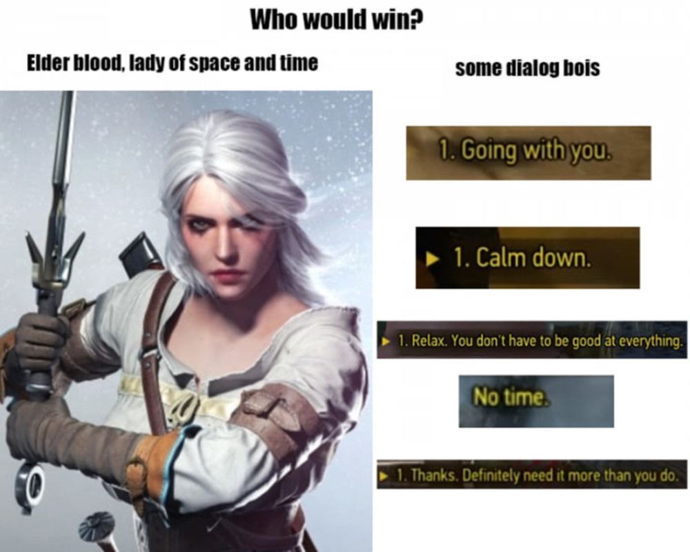 Witcher 3 Ciri Who Would Win Meme