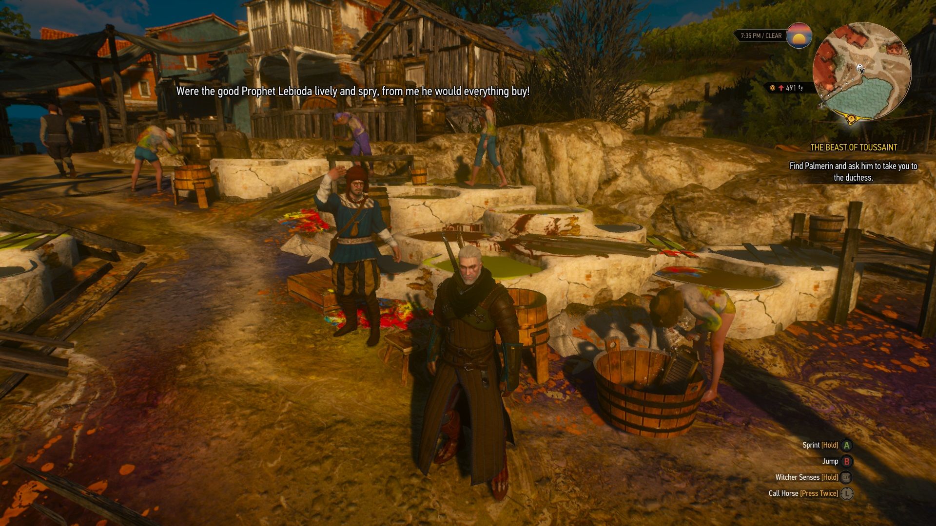 Witcher-3-Dye-Merchant