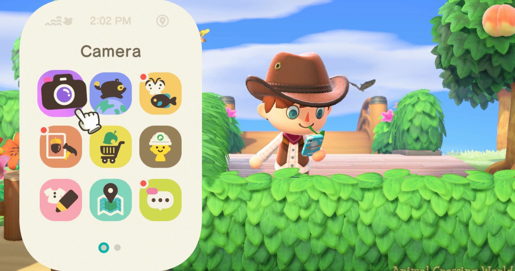 Animal Crossing New Horizons Camera HUD
