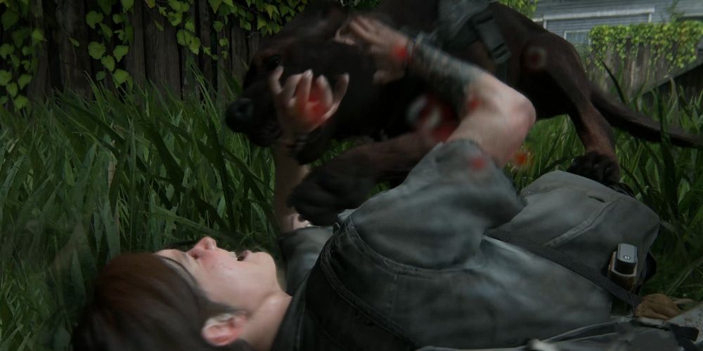 Ellie vs. Dog