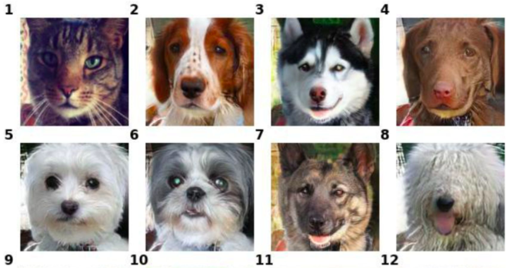 nvidia ai animal