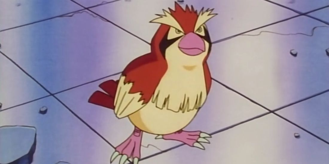 a cute pidgey standing on the floor looking happy