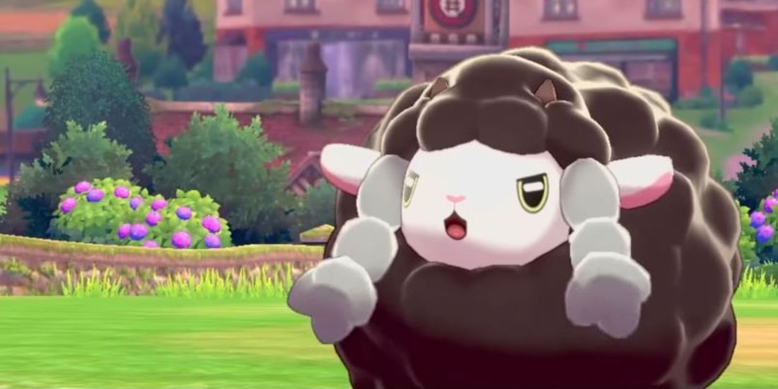 Shiny wooloo in battle in Pokemon Sword Pokemon Shield