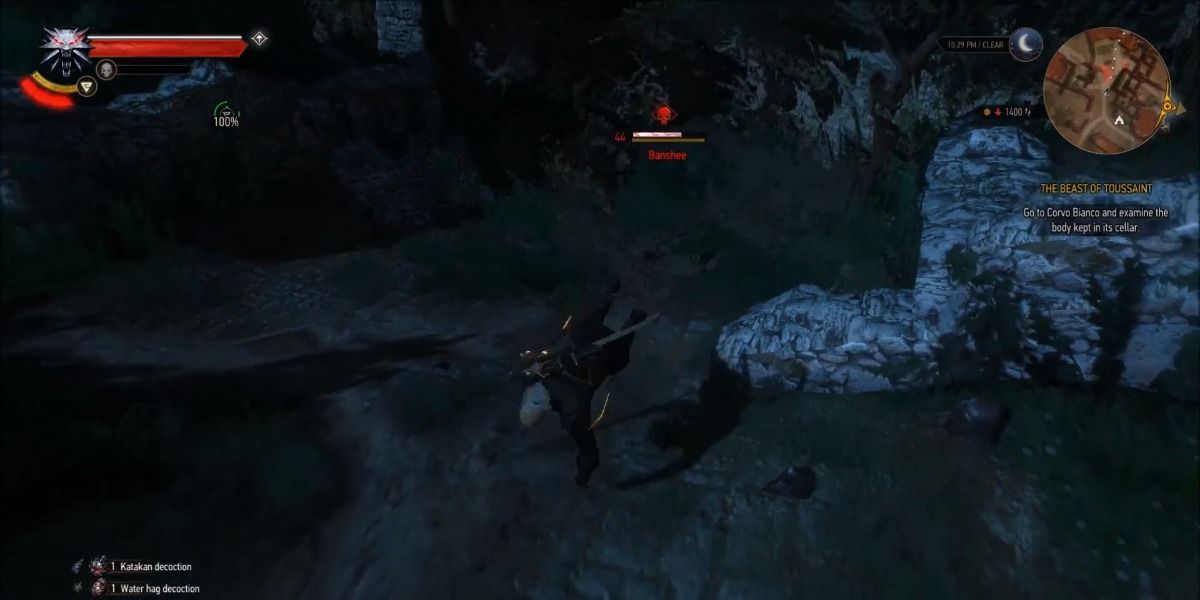 witcher 3 banshee scream