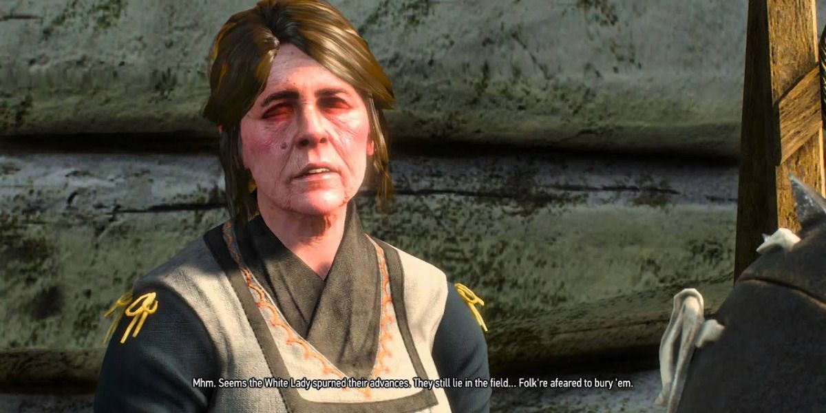 witcher 3 helma