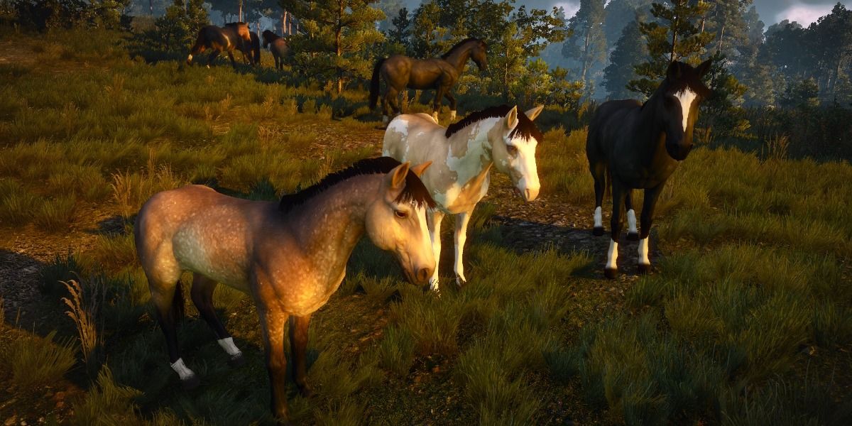 witcher 3 horse