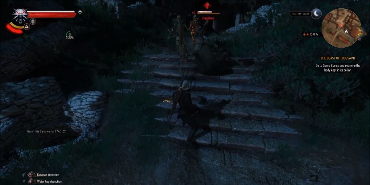 witcher 3 skeleton banshee