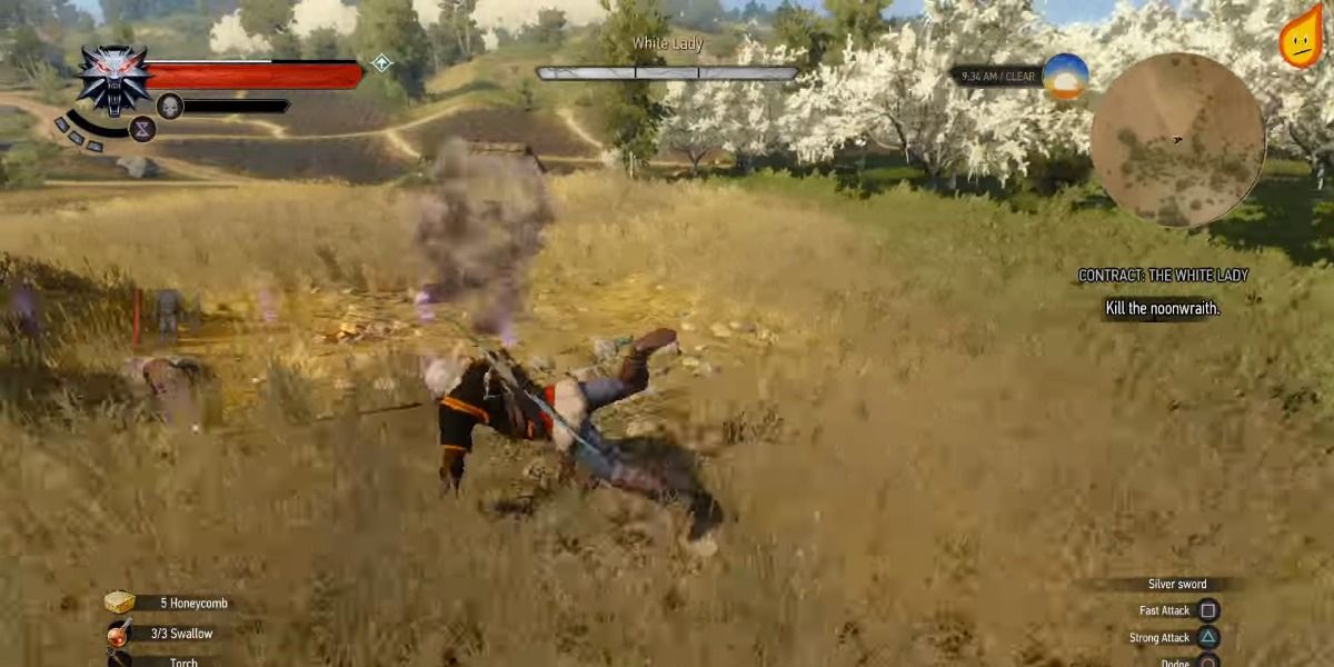 witcher 3 white lady disappear