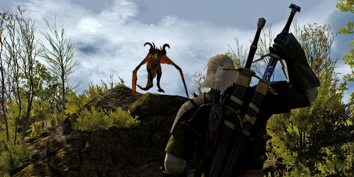 witcher 3 wyvern location