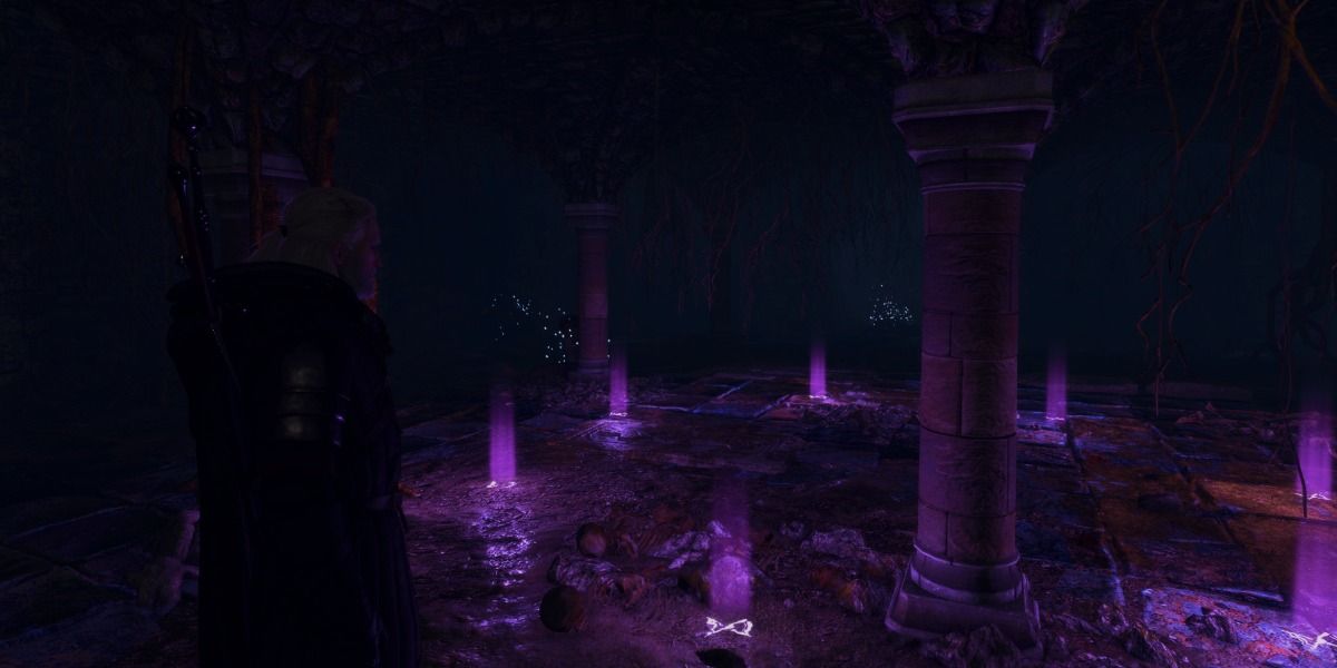 witcher 3 yrden 2