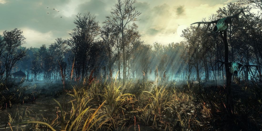witcher3_crookback_bog
