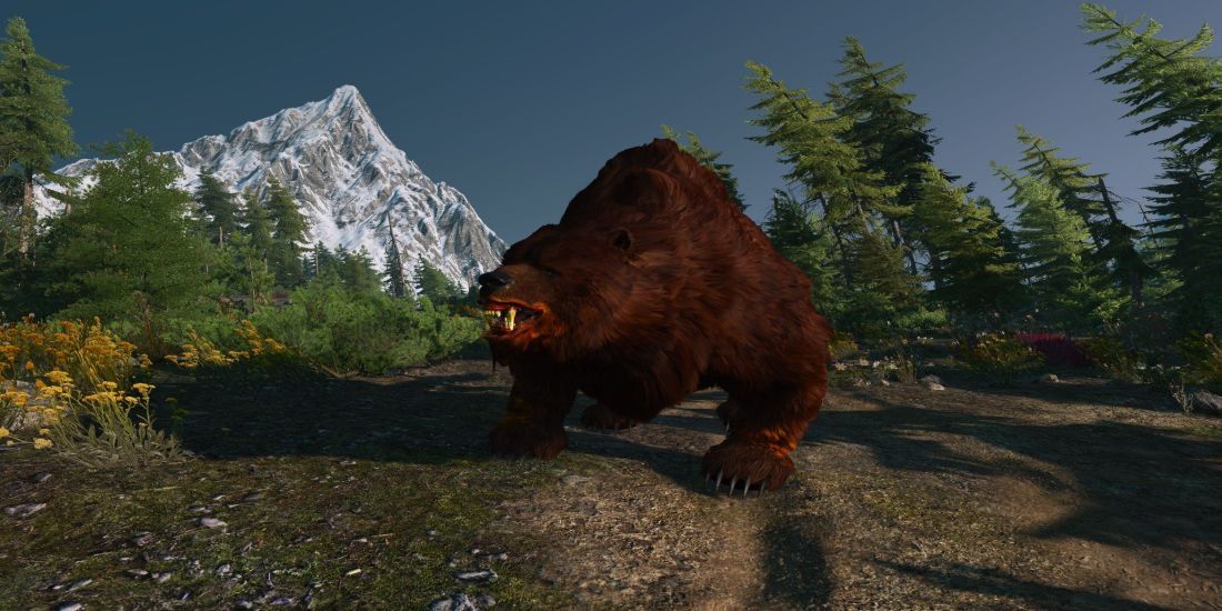 witcher3_werebear_abilities