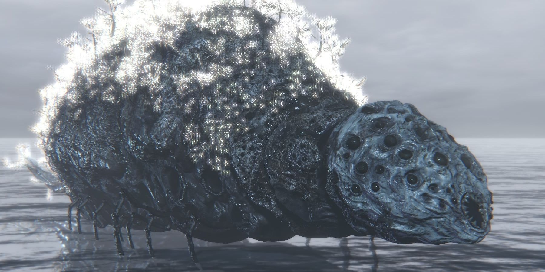 bloodborne rom spider