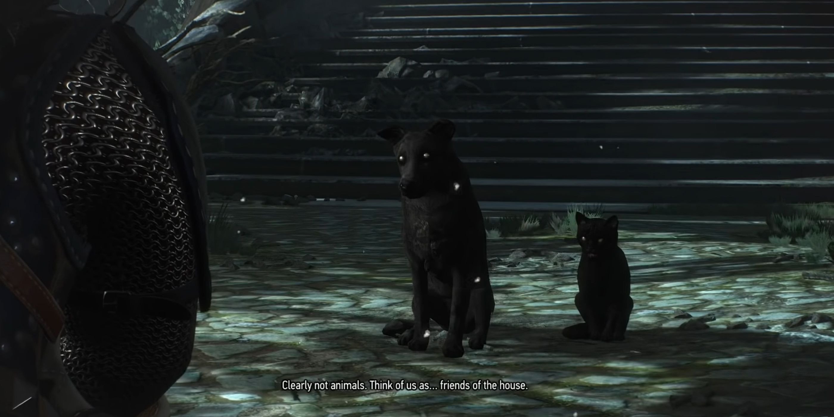 Dog and Cat Geralt Witcher 3