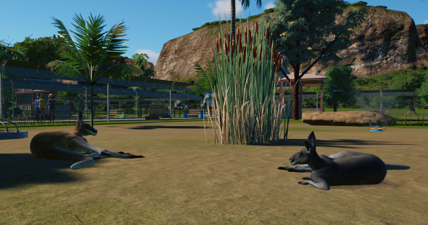 Two kangaroos chilling in the sun in their exhibit.