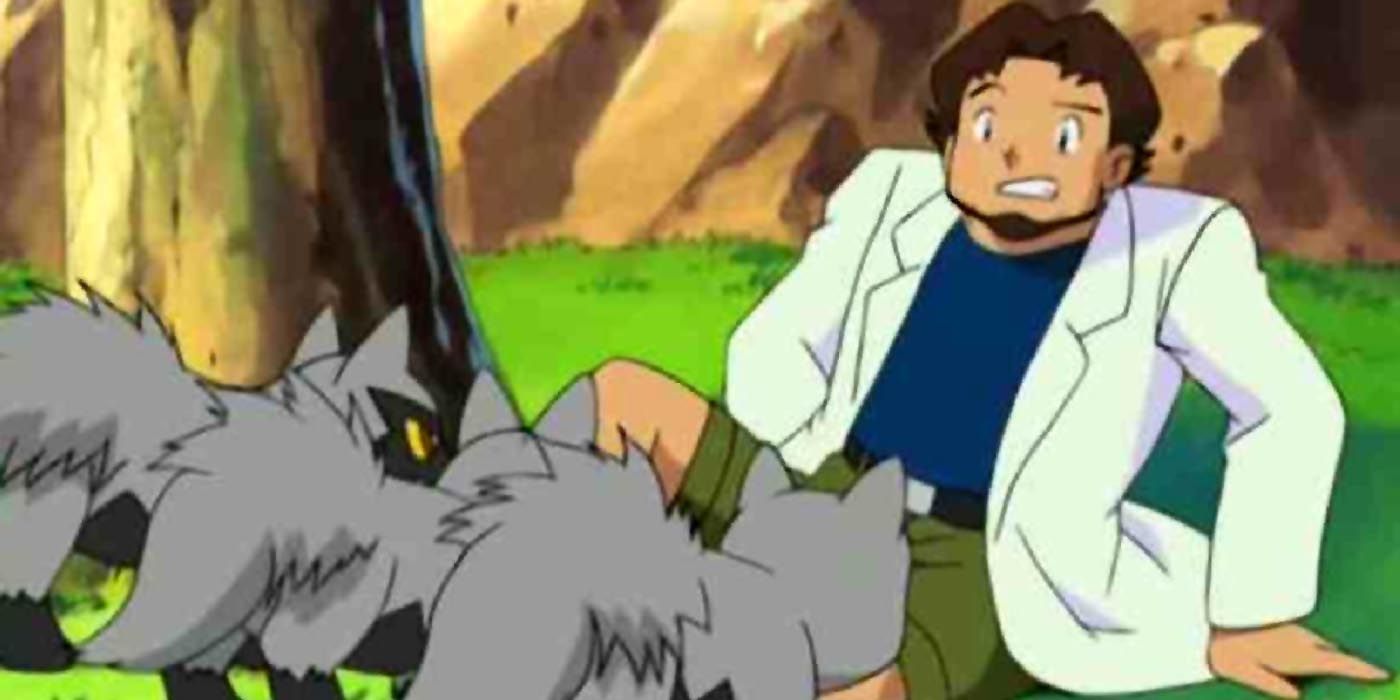 Pokemon Professor Birch on ground with three Pokemon in front of him