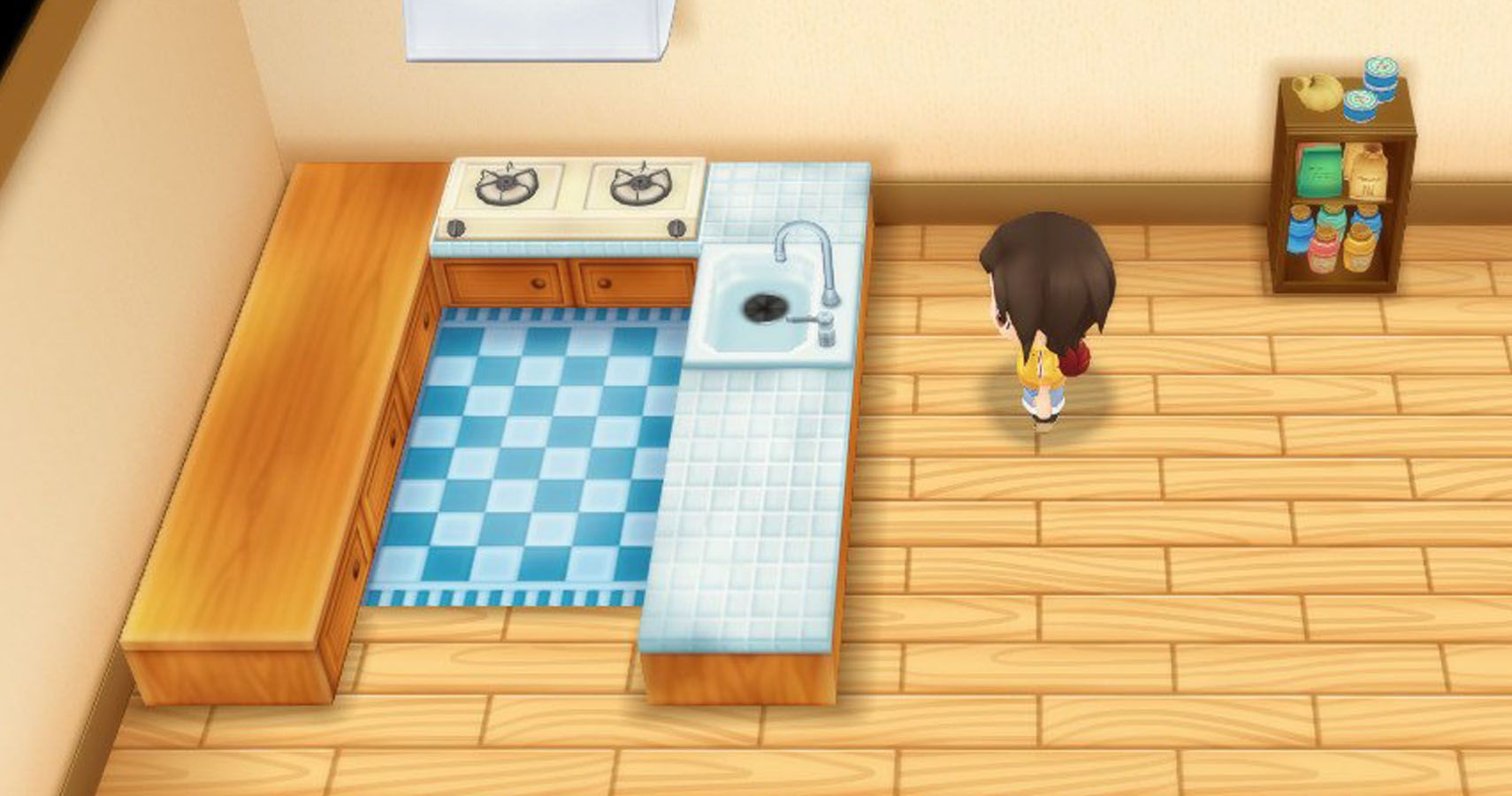Naomi's first farm upgrade, her kitchen.