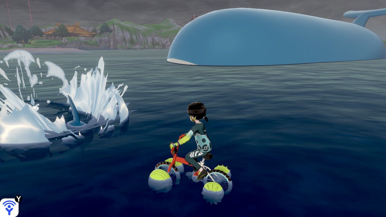 sharpedo from pokemon