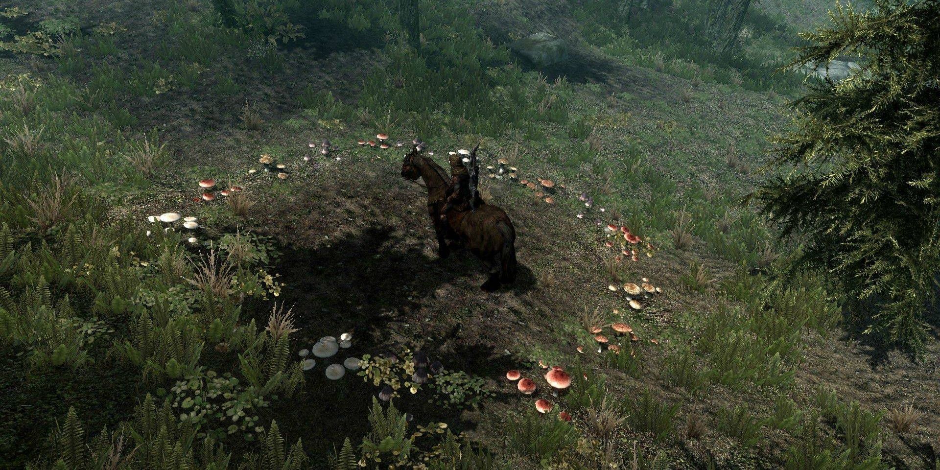 //www.reddit.com/r/skyrim/comments/nfnqk/has_anyone_else_found_a_fairy_ring/