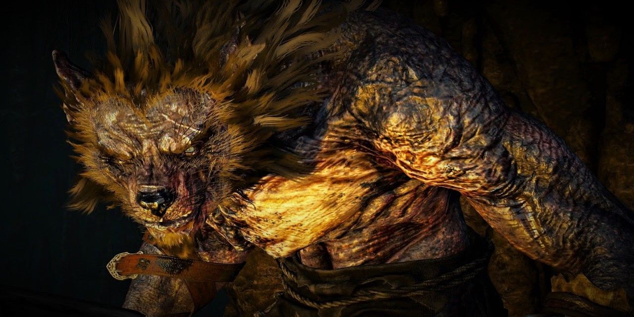 The Witcher 3 Fire Lit Werewolf in Cave Closeup